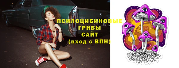 бошки Бронницы