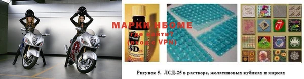 мдпв Богородицк