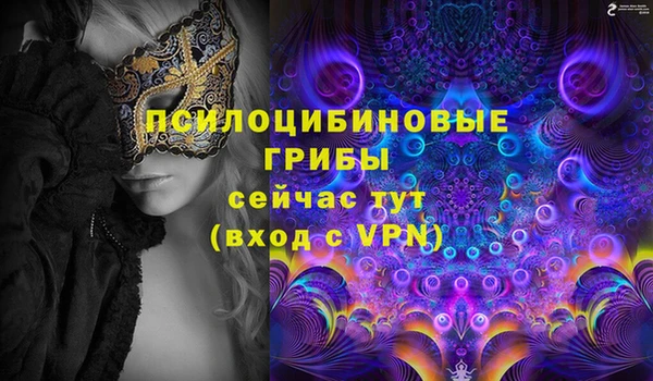 mdpv Богданович