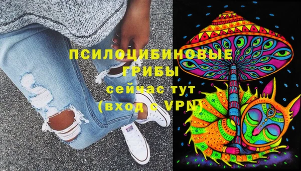 мдпв Богородицк