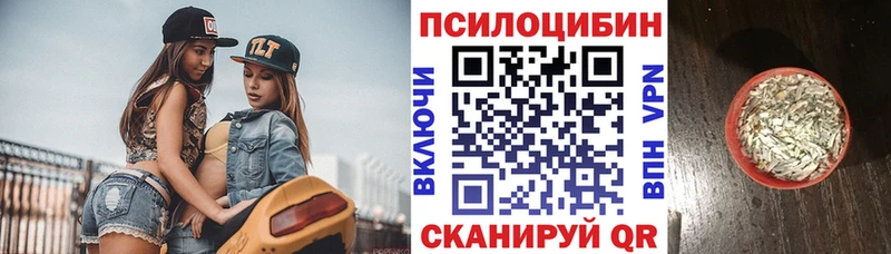 Псилоцибиновые грибы MAGIC MUSHROOMS Новомичуринск